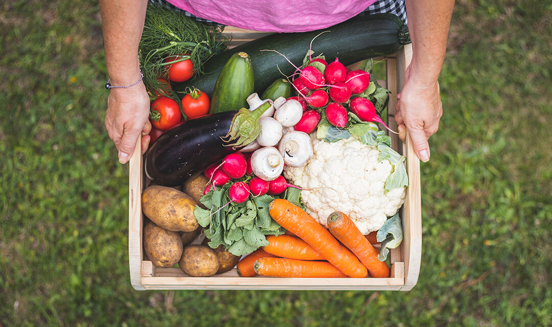 8 Food and Health Trends Coming in 2021